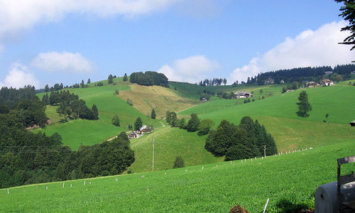 Harzlochhof Mnstertal (Mnstertal)