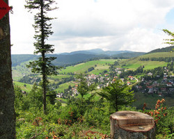 Haus Keller Ferienwohnungen (Todtnau / Todtnauberg)