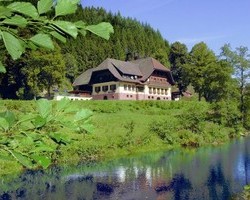 Hotel Ochsenwirtshof (Bad Rippoldsau-Schapbach)