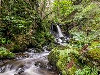 Mit freundlicher Genehmigung der Hotzenwald Tourismus GmbH