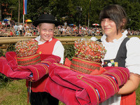 Schferkrone Wildberg (Bildnachweis: Stadtverwaltung Tourismus Wildberg )