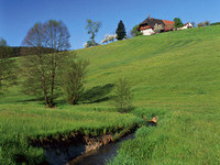 Bach Biederbach (Bildnachweis: Tourismus GmbH & Co.KG  ZweiT�lerLand )