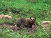  (Bildnachweis: Mit freundlicher Genehmigung von www.wolftal.de)