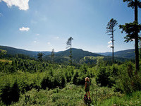  (Bildnachweis: Mit freundlicher Genehmigung der Baiersbronn Touristik)