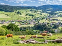  (Bildnachweis: Mit freundlicher Genehmigung Tourist Information Bernau)