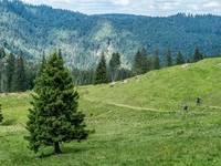  (Bildnachweis: Mit freundlicher Genehmigung Tourist Information Bernau)