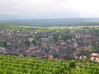 (Bildnachweis: Mit freundlicher Genehmigung der Kaiserstuhl Touristik e.V. Ihringen) (Bildnachweis: Mit freundlicher Genehmigung der Kaiserstuhl Touristik e.V. Ihringen)