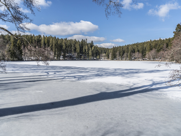 Schlchtsee Bildnachweis:  Hochschwarzwald Tourismus GmbH