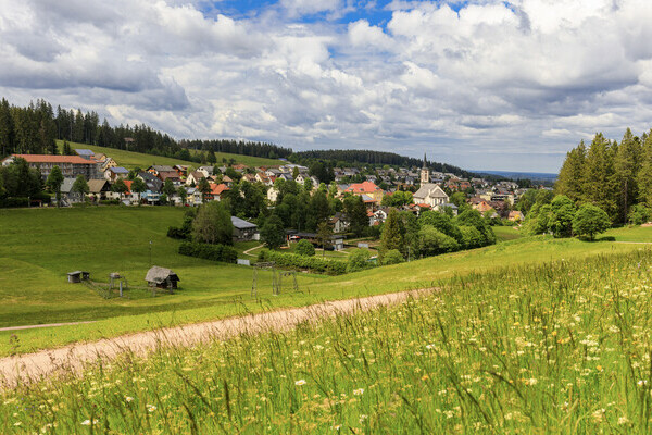  Copyright: (Mit freundlicher Genehmigung der Michael Stifter Gemeinde Schnwald)