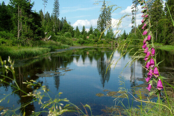 Kaltenbachsee Bildnachweis: Copyright: Mit freundlicher Genehmigung der Gemeinde Seewald