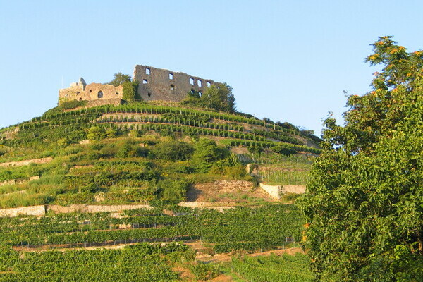 Staufen Copyright: 4ws-Netdesign