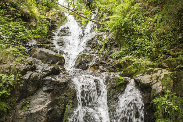 Todtnauer Wasserflle Copyright: (Hochschwarzwald Tourismus GmbH )