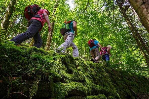 Himmelssteig Bildnachweis: &copy; Bad Peterstal-Griesbach